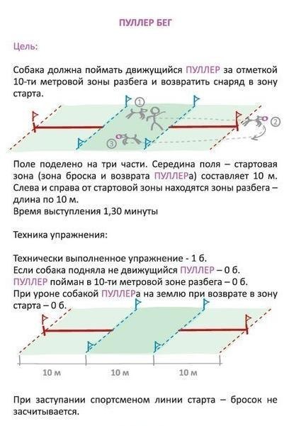  бег.jpg